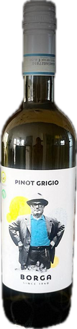 Pinot Grigio | delle Venezia D.O.C | 2024 | Borga | Italien