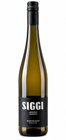 Riesling trocken | Muschelkalk | 2021 | Weingut Siegfried Mayer | Württemberg